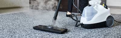 pressure washing and carpet cleaning