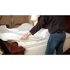 harris bed bug polyester mattress and