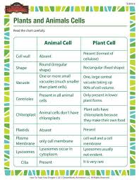 Plants And Animals Cells Printable Science Worksheets For