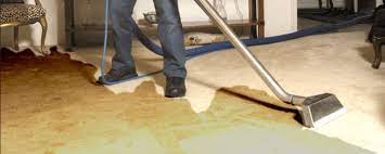 how to extract flood water from carpet