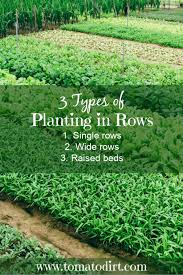 Planting In Rows For Your Vegetable Garden