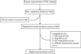 Gantt Chart Of Activities Conducted For Blood Donation Camp