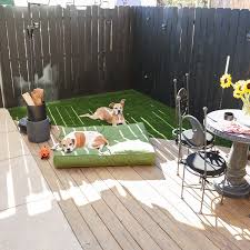 Pet Turf To The Rescue The Home Depot