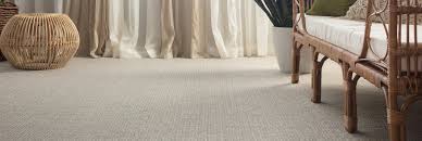 carpet cleaning upholsery leather and