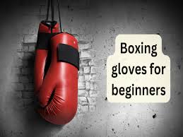boxing gloves for beginners best picks