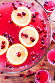 cranberry ginger ale punch 5