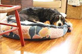 diy dog bed made from an old urban