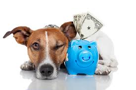 Contact us about home insurance. Happy National Pet Health Insurance Month