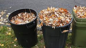 city of springfield yard waste drop off