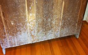 how to remove mold from wood 7