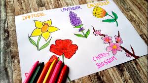 five diffe flowers drawing with