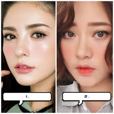 anese or korean makeup wiki