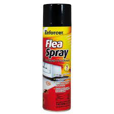enforcer 14 oz flea spray for carpets