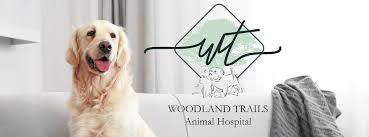 woodland trails animal hospital in