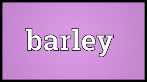 barley meaning you