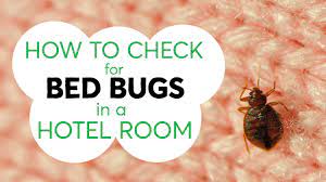 Beware the potential bed bugs. How To Check For Bed Bugs In A Hotel Room Consumer Reports Youtube