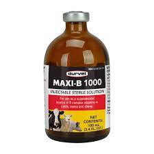 maxi b 1000 injectable for cattle