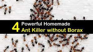 homemade ant without borax