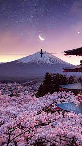 mount fuji and cherry blossoms