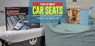 10 Best Dog Car Seat Brands Updated 2023