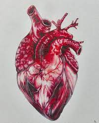 Человеческое сердце арт - 35 фото