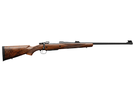 Cz 550 American Safari Magnum