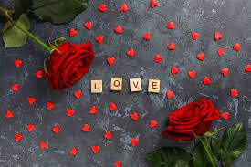 love rose flower images free