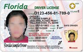 florida drivers license check traffic