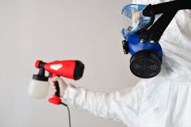 mold removal in twin falls id elite