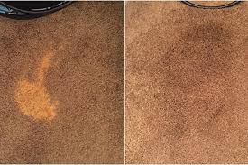carpet dyeing bleach spot repair