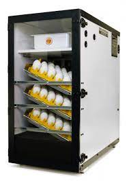 digital sportsman cabinet egg incubator