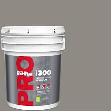 Dead Flat Interior Paint Pr31305