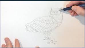 15 drawing ideas for beginners to build