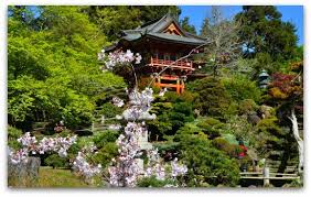 Japanese Tea Garden San Francisco