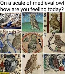 How are you feeling today? On A Scale Of Medieval Owl How Are You Feeling Today From 1 To 9 Starecat Com