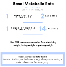 Basal Metabolic Rate What Is It And
