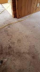 agape carpet cleaning n garden st