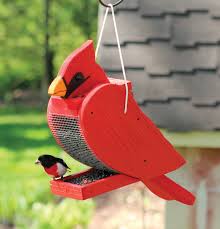 bird feeder cardinal