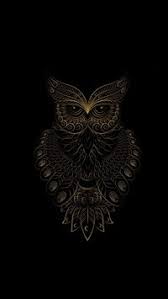 best owl iphone hd wallpapers