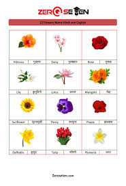 12 flower names in hindi and english