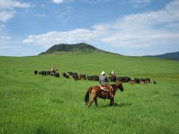 colorado dude ranches the original