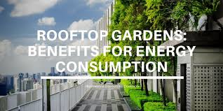 Rooftop Gardens Benefits For Energy