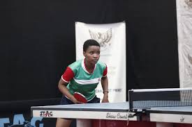 phoenix independence table tennis