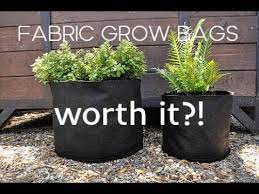 Fabric Pots Grow Bags My Thoughts