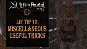 Forest village > guides > ronge's guides this item has been removed from the community because it violates steam community & content guidelines. How To Play Guide For Life Is Feudal Mmo Official Life Is Feudal Wiki