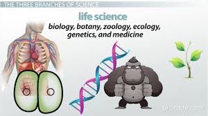 Three Branches Of Natural Science Physical Earth Life