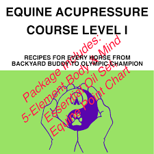 Equine Acupressure Course Level I Package