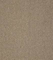shaw philadelphia carpet neyland iii 20