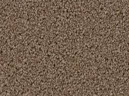 dreamweaver carpet carpet s san