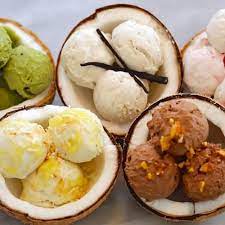 dairy free coconut homemade ice cream
